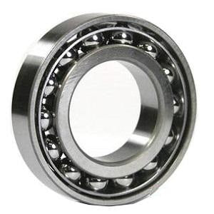 Bearings & Seals